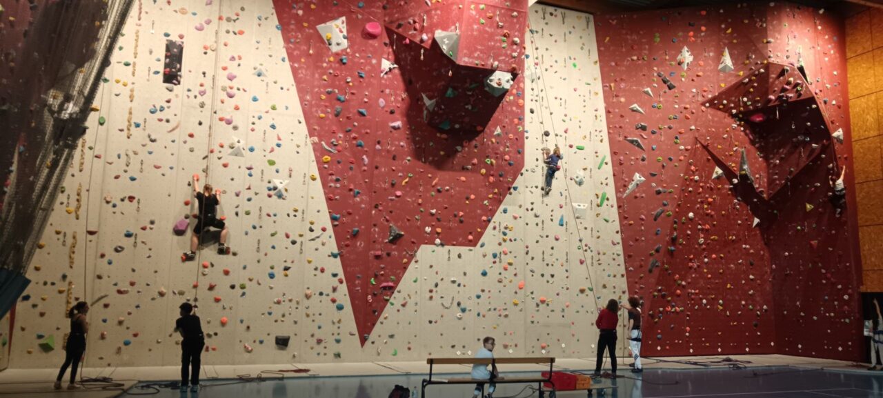 salle artificielle escalade3