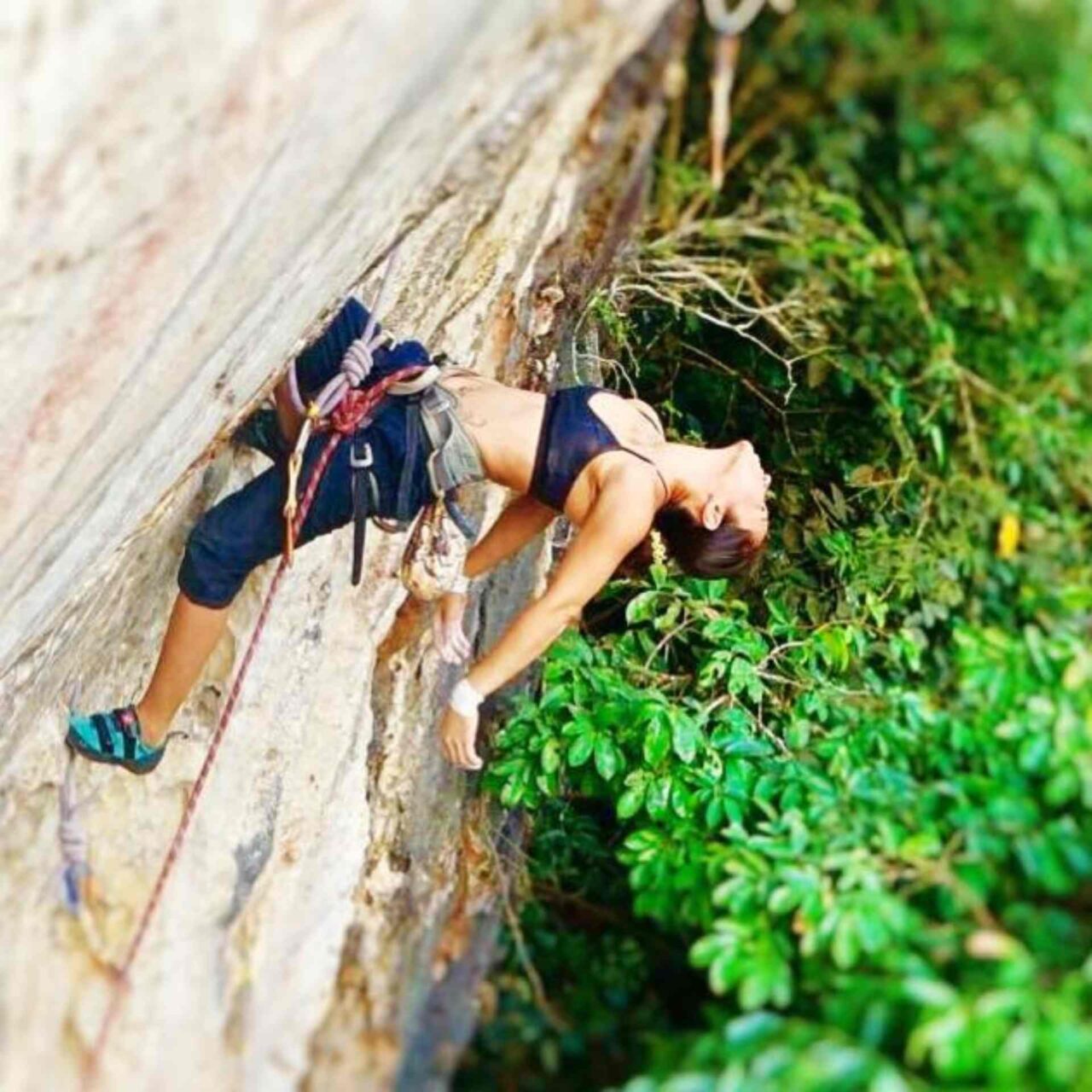 escalade falaise, pause progression